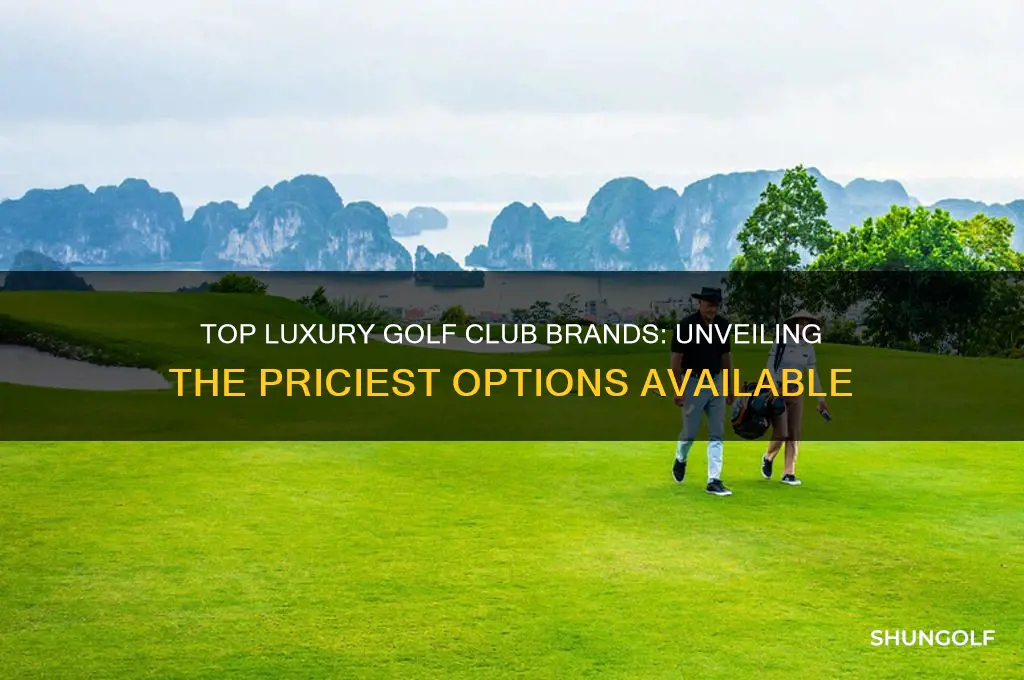 what is the most expensive brand of golf clubs