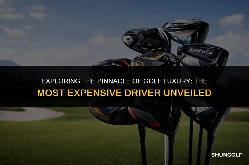 what is the most expensive driver in golf