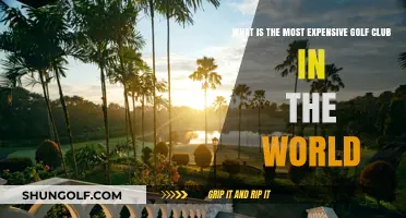 The World's Priciest Golf Club: Unveiling the Ultimate Luxury Swing
