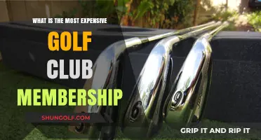 Exclusive Greens: Unveiling the World's Priciest Golf Club Memberships