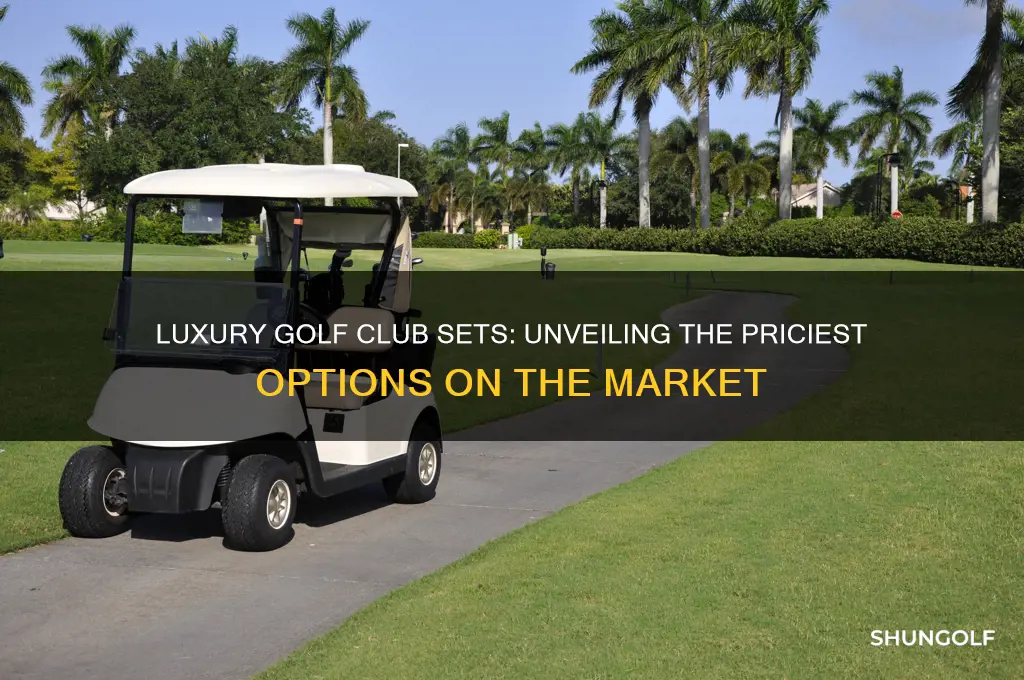 what is the most expensive golf club set