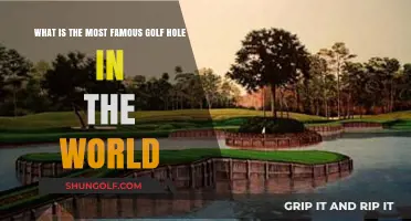 The Iconic 17th at TPC Sawgrass: World's Most Famous Golf Hole