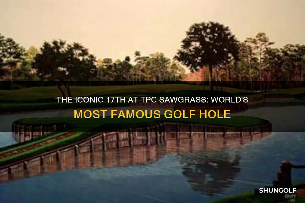 what is the most famous golf hole in the world