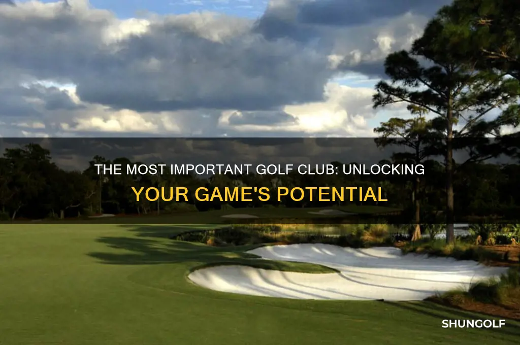 what is the most important club in golf