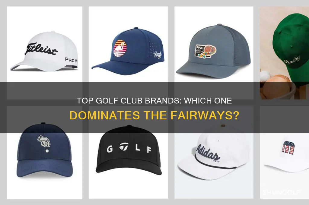 what is the most popular brand of golf clubs