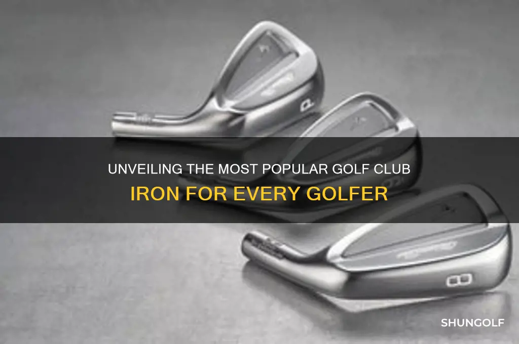 what is the most used golf club iron