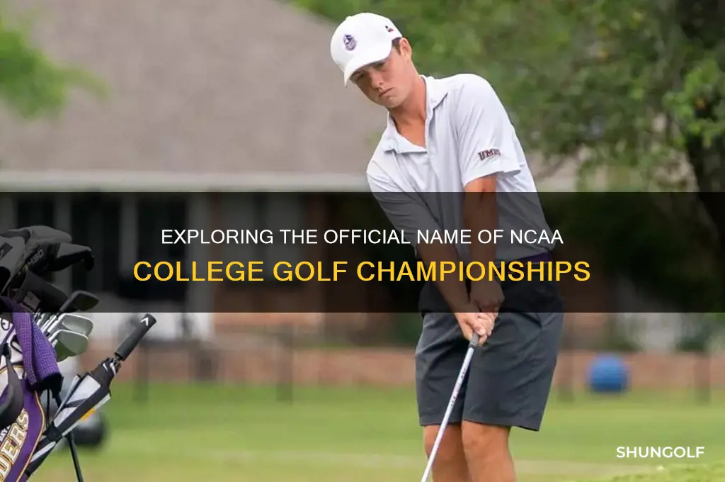 what is the name of the ncaa college golf