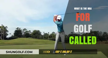 What is the NBA for Golf Called? Discover the PGA Tour