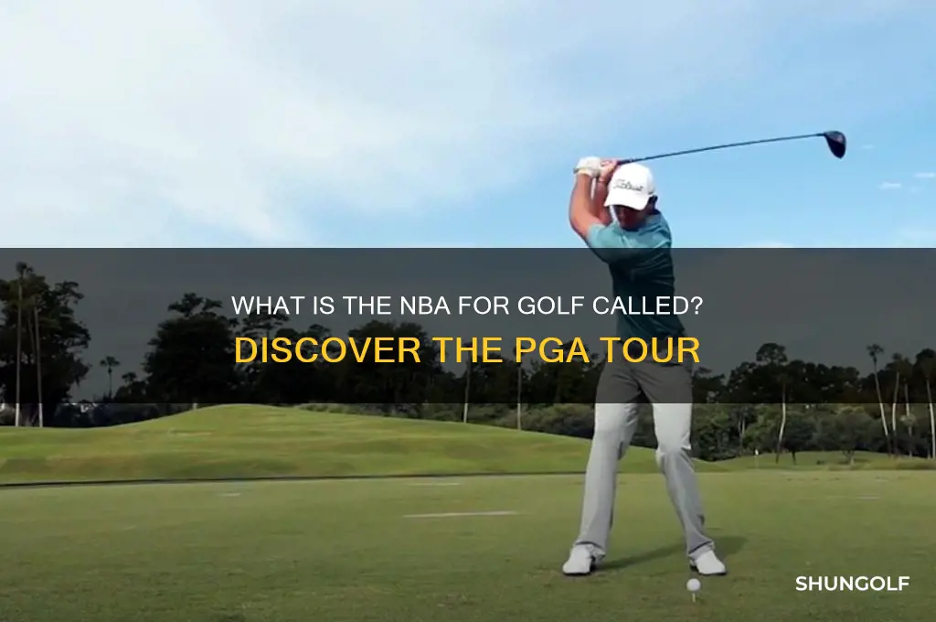 what is the nba for golf called