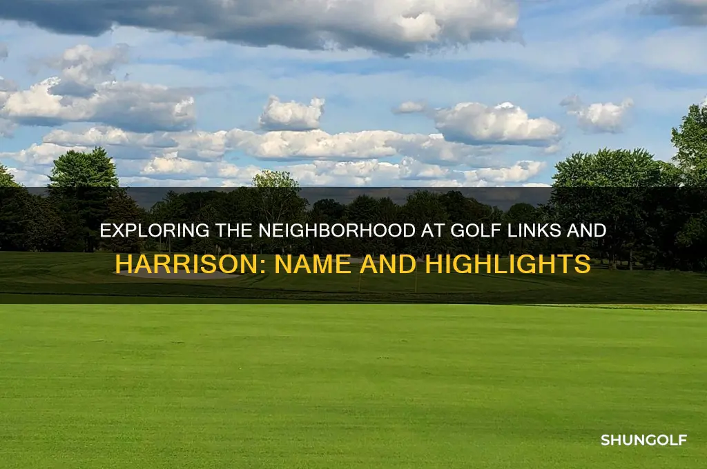 what is the neighborhood at golf links and harrison called