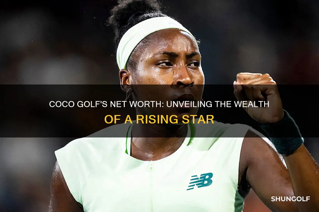 what is the net worth of coco golf