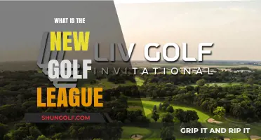 The Future of Golf: New League Explained
