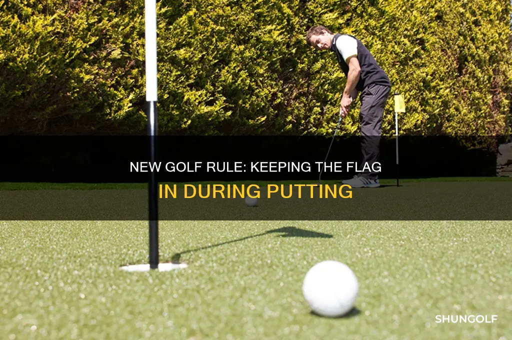 what is the new golf rule about the flag