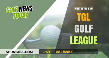 Exploring the TGL Golf League: A New Era in Golf Entertainment