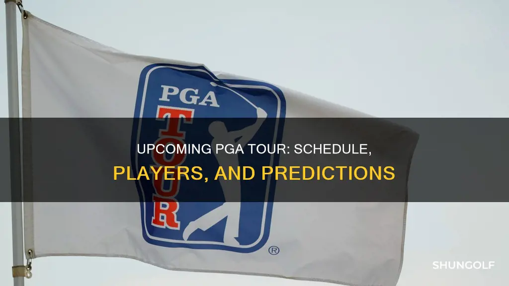 what is the next pga tour