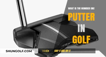 Discover the Top-Rated Putter Dominating Golf Greens Today