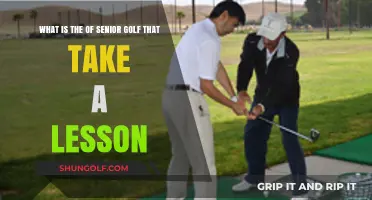 Senior Golf Lessons: Enhancing Skills and Enjoyment on the Course