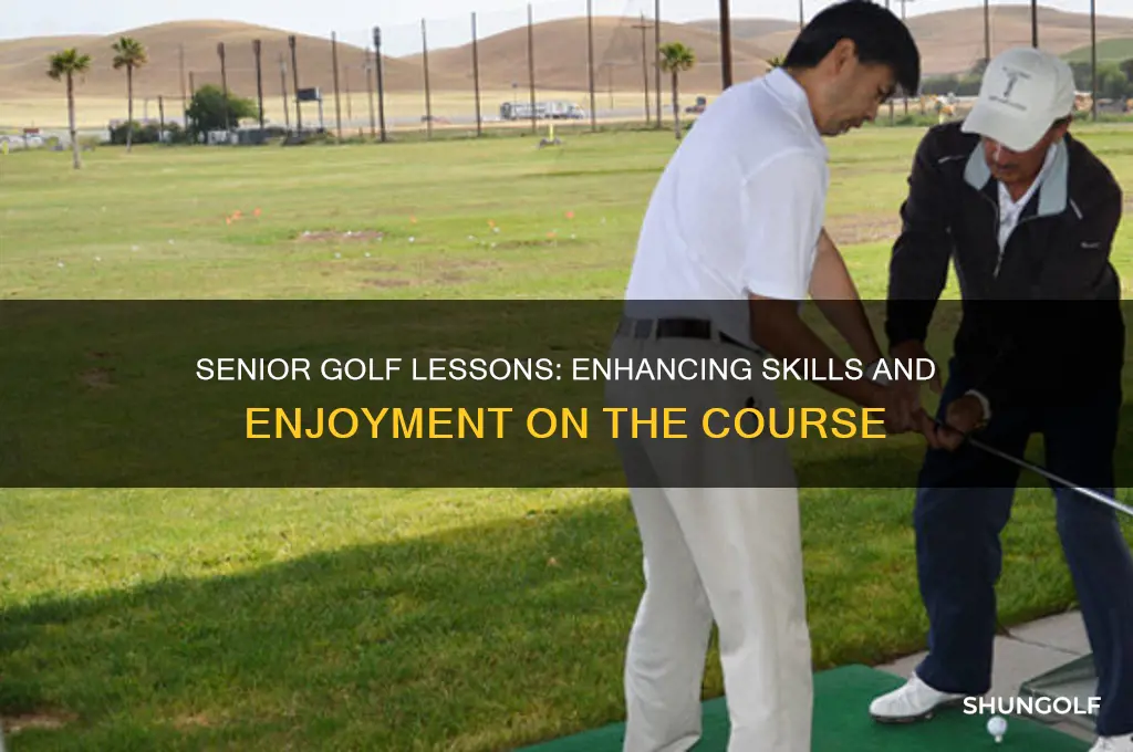 what is the of senior golf that take a lesson