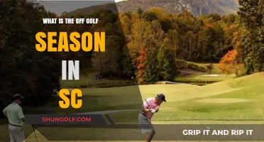 Off-Season Golf in South Carolina: When and Why to Play