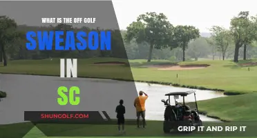 Mastering the Off-Season: Golfing in South Carolina's Winter Months