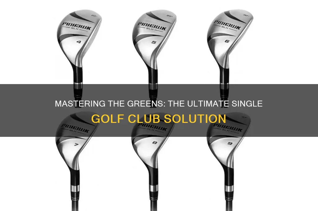 what is the only golf club i need