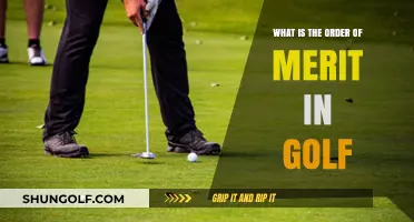 Understanding the Order of Merit in Golf: A Comprehensive Guide