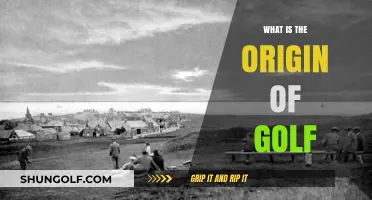 The Ancient Game: Golf's Scottish Origins