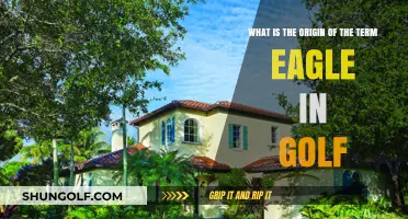 Uncovering the Surprising History Behind Golf's 'Eagle' Term