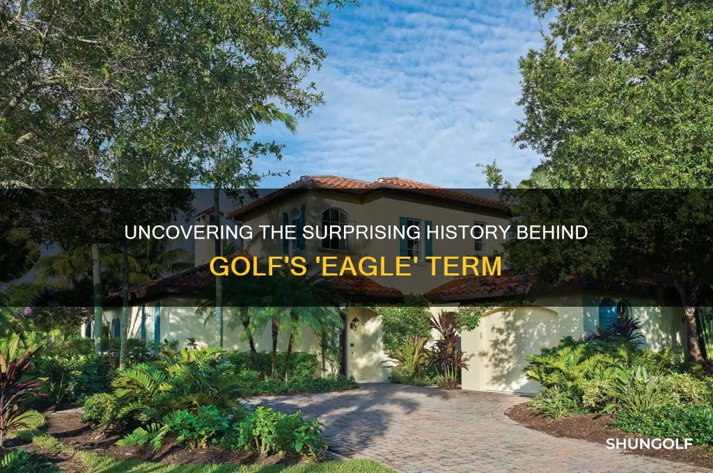 what is the origin of the term eagle in golf