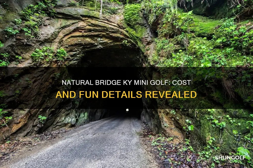 what is the ost of natural bridge ky mini golf