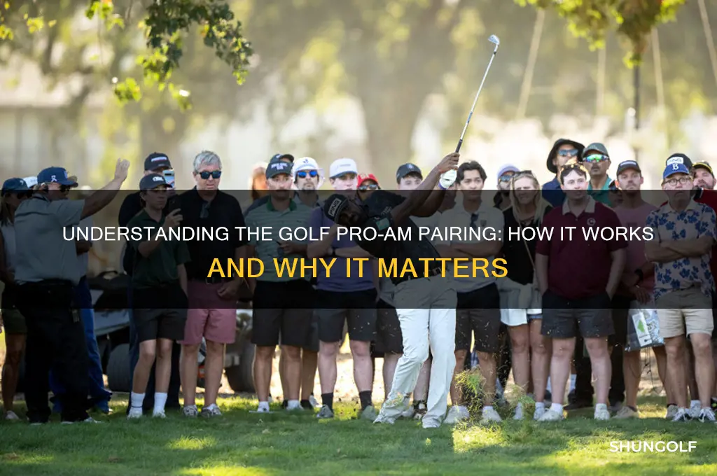 what is the pairing of the golf pro am