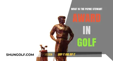 Understanding the Payne Stewart Award's Significance in Golf