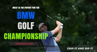 BMW Golf Championship Payout: Prize Money Breakdown and Winners' Share