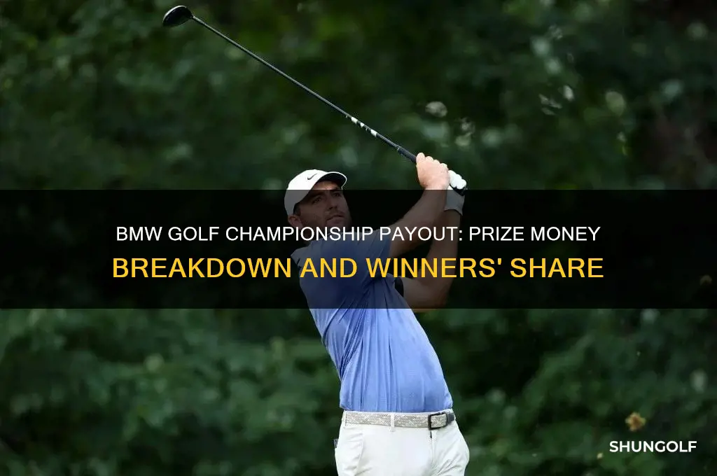 what is the payout for the bmw golf championship