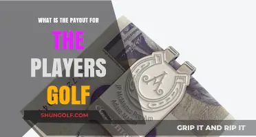 Players Championship Golf Payout: Prize Money Breakdown and Distribution