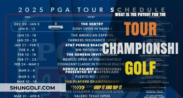 Tour Championship Golf Payout: Prize Money Breakdown and Winners' Share
