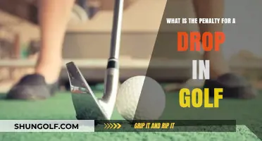 Understanding the Penalty for a Drop in Golf: Rules and Consequences