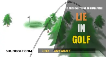 Unplayable Lie Penalty in Golf: Rules, Strokes, and Relief Explained