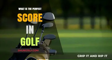Mastering the Perfect Golf Score: Understanding the Ultimate Achievement