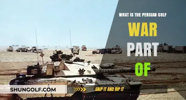 Understanding the Persian Gulf War: Its Historical Context and Global Impact