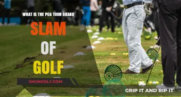 Exploring the PGA Tour Grand Slam of Golf: History and Prestige