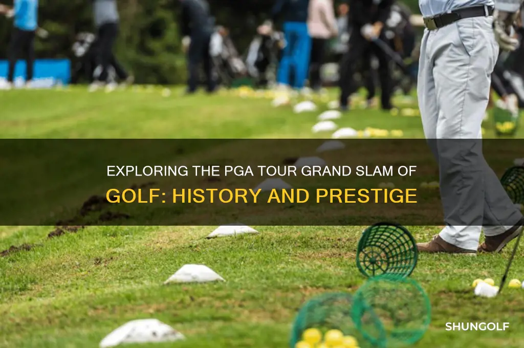 what is the pga tour grand slam of golf