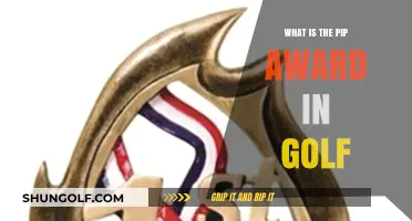 Understanding the Prestigious PIP Award in Professional Golf