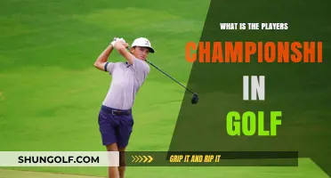 Understanding the Players Championship: Golf's Prestigious Annual Tournament