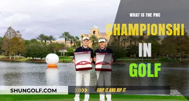 Understanding the PNC Championship: Golf's Unique Family Tournament Explained