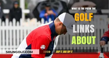 Exploring the Theme and Meaning of the Poem 'The Golf Links
