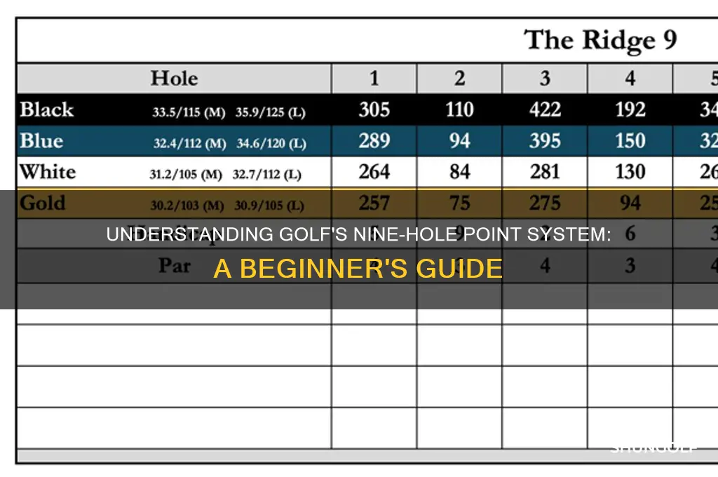 what is the point system for nine holes of golf