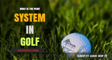 Understanding Golf's Point System: A Beginner's Guide to Scoring