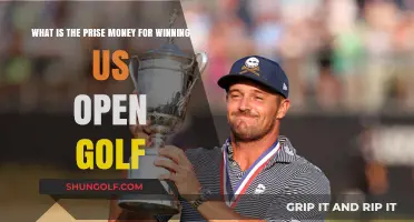 US Open Golf Prize Money: How Much Do Winners Earn?