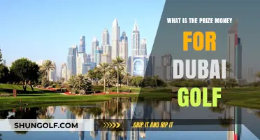 Dubai Golf Prize Money: A Look at the Lucrative Rewards